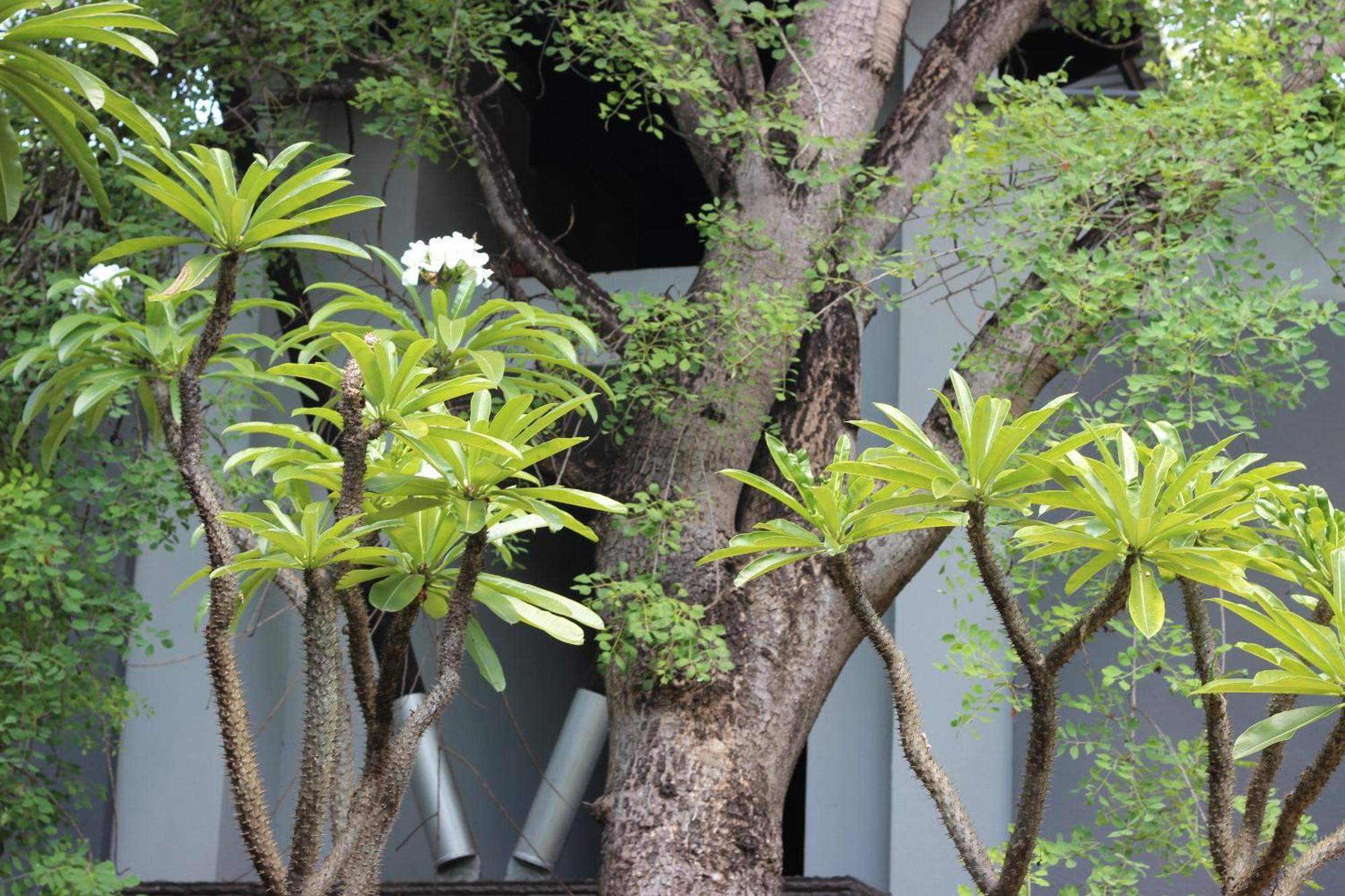 Ecolux Boutique Hotel Komatipoort Bagian luar foto